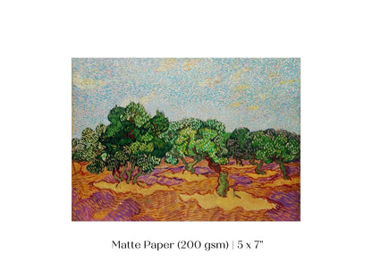 Olive Trees | P323 - Single Art Prints - Piccolo Fiore Prints