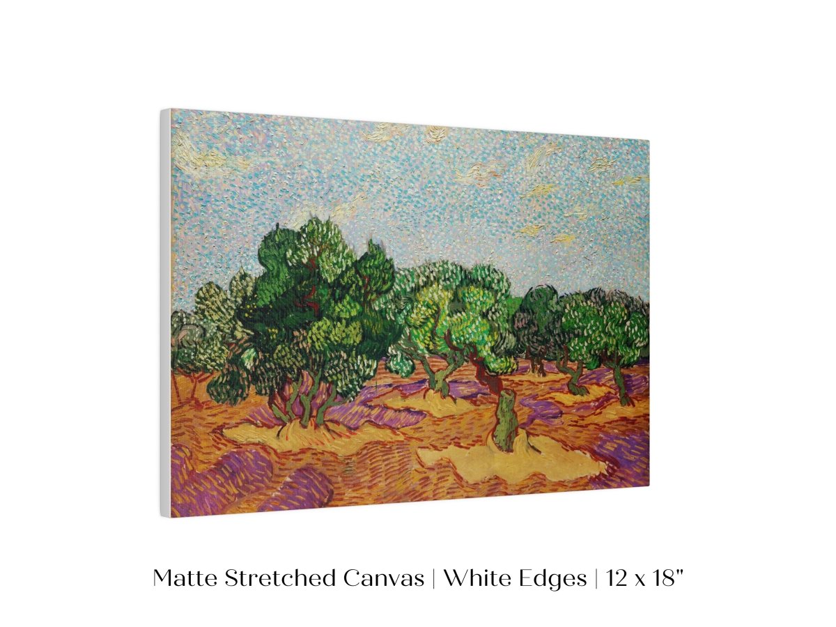 Olive Trees | P323 - Single Art Prints - Piccolo Fiore Prints