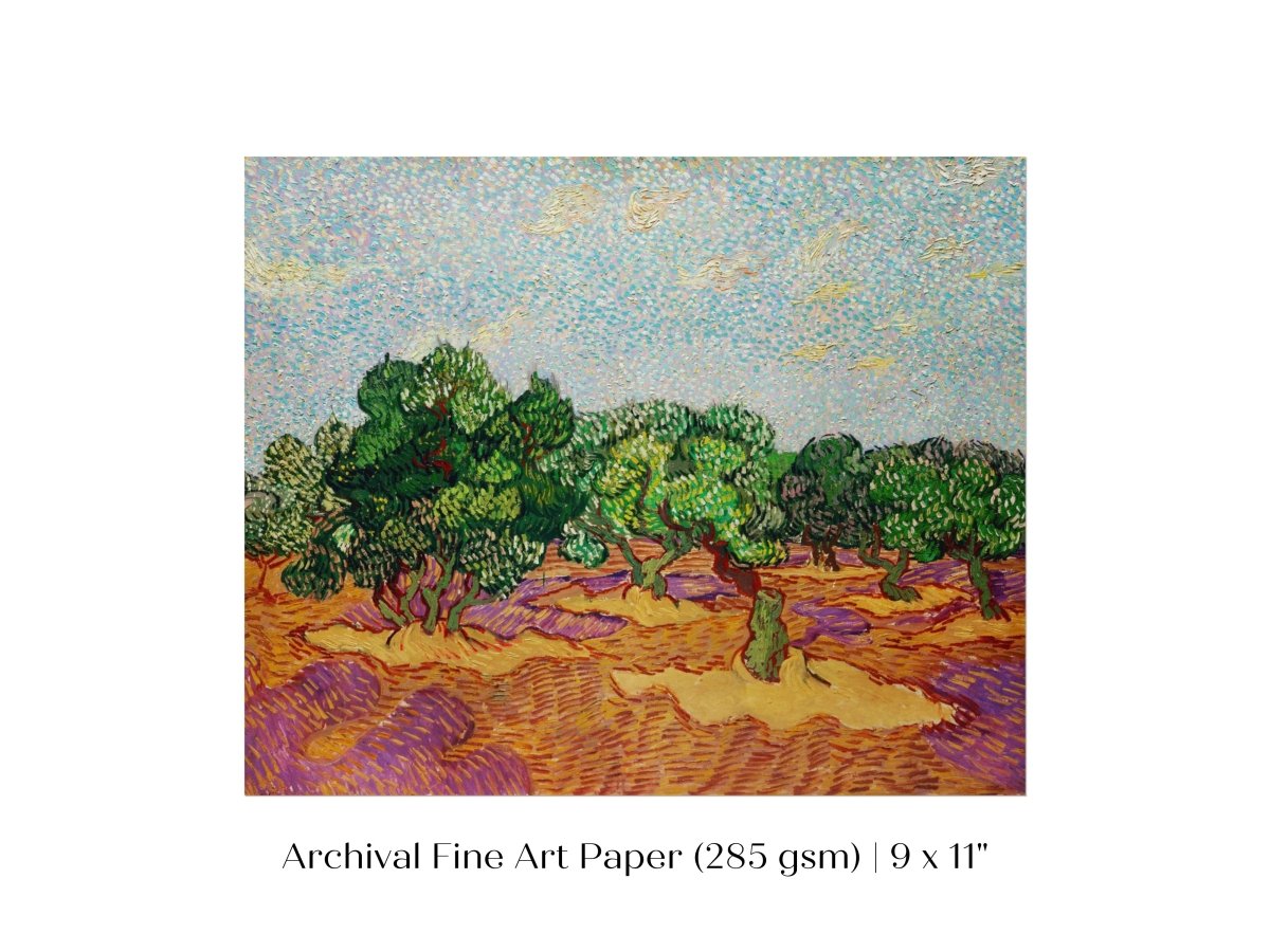 Olive Trees | P323 - Single Art Prints - Piccolo Fiore Prints