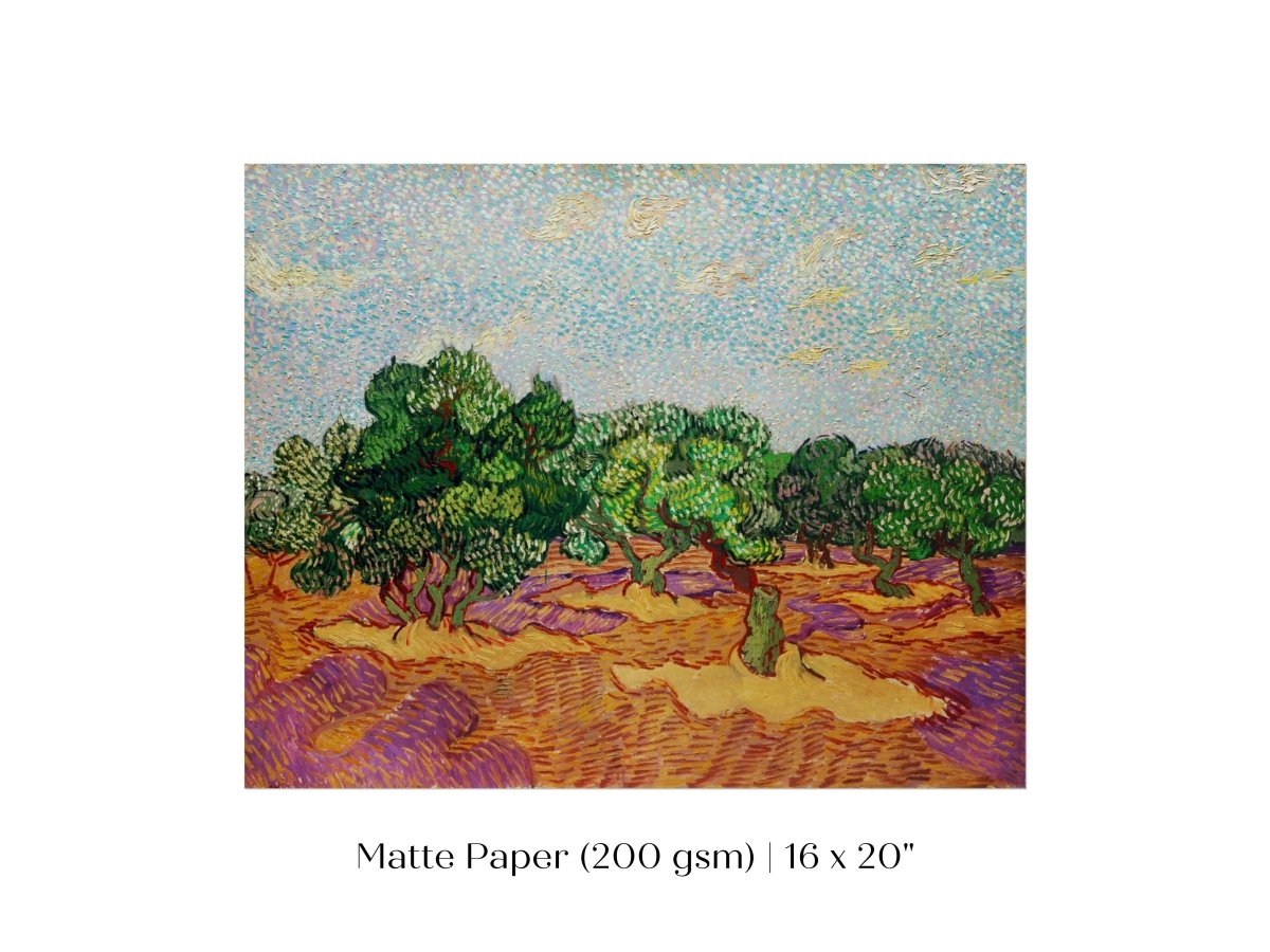 Olive Trees | P323 - Single Art Prints - Piccolo Fiore Prints