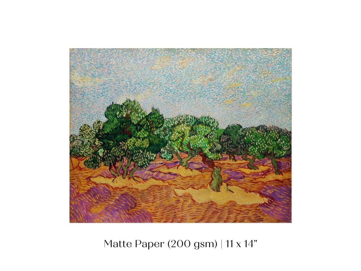 Olive Trees | P323 - Single Art Prints - Piccolo Fiore Prints