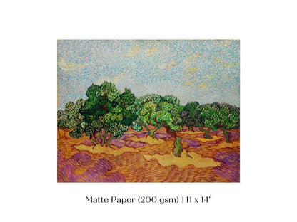 Olive Trees | P323 - Single Art Prints - Piccolo Fiore Prints