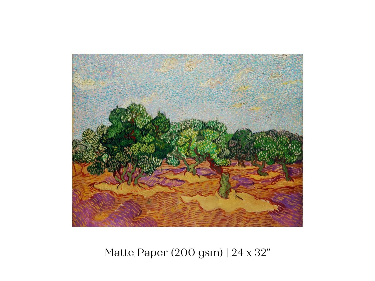 Olive Trees | P323 - Single Art Prints - Piccolo Fiore Prints