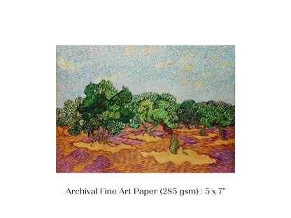 Olive Trees | P323 - Single Art Prints - Piccolo Fiore Prints
