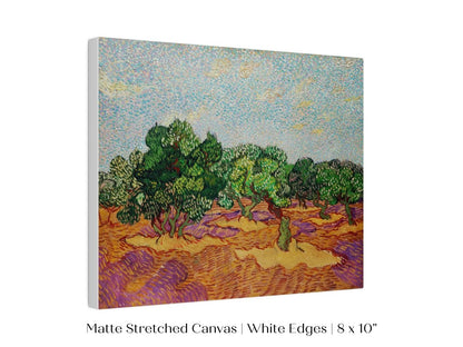 Olive Trees | P323 - Single Art Prints - Piccolo Fiore Prints