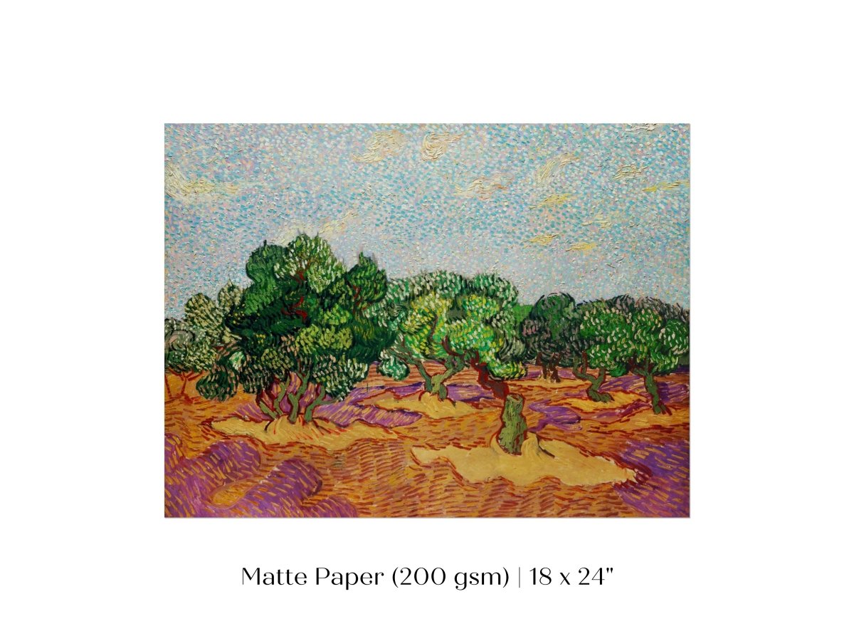 Olive Trees | P323 - Single Art Prints - Piccolo Fiore Prints