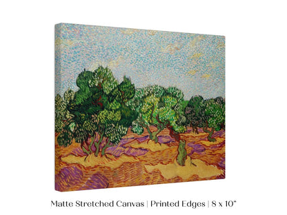 Olive Trees | P323 - Single Art Prints - Piccolo Fiore Prints
