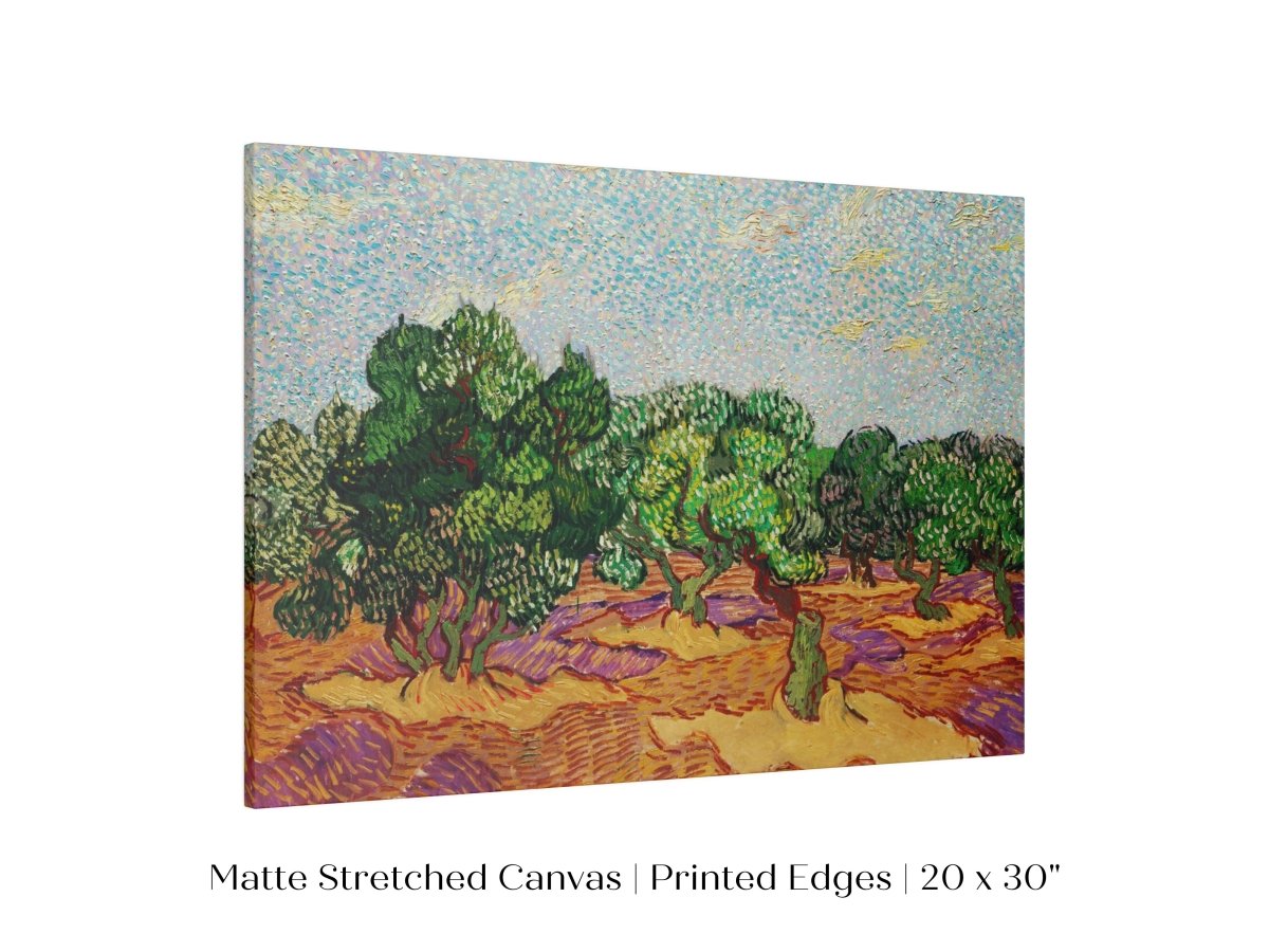 Olive Trees | P323 - Single Art Prints - Piccolo Fiore Prints