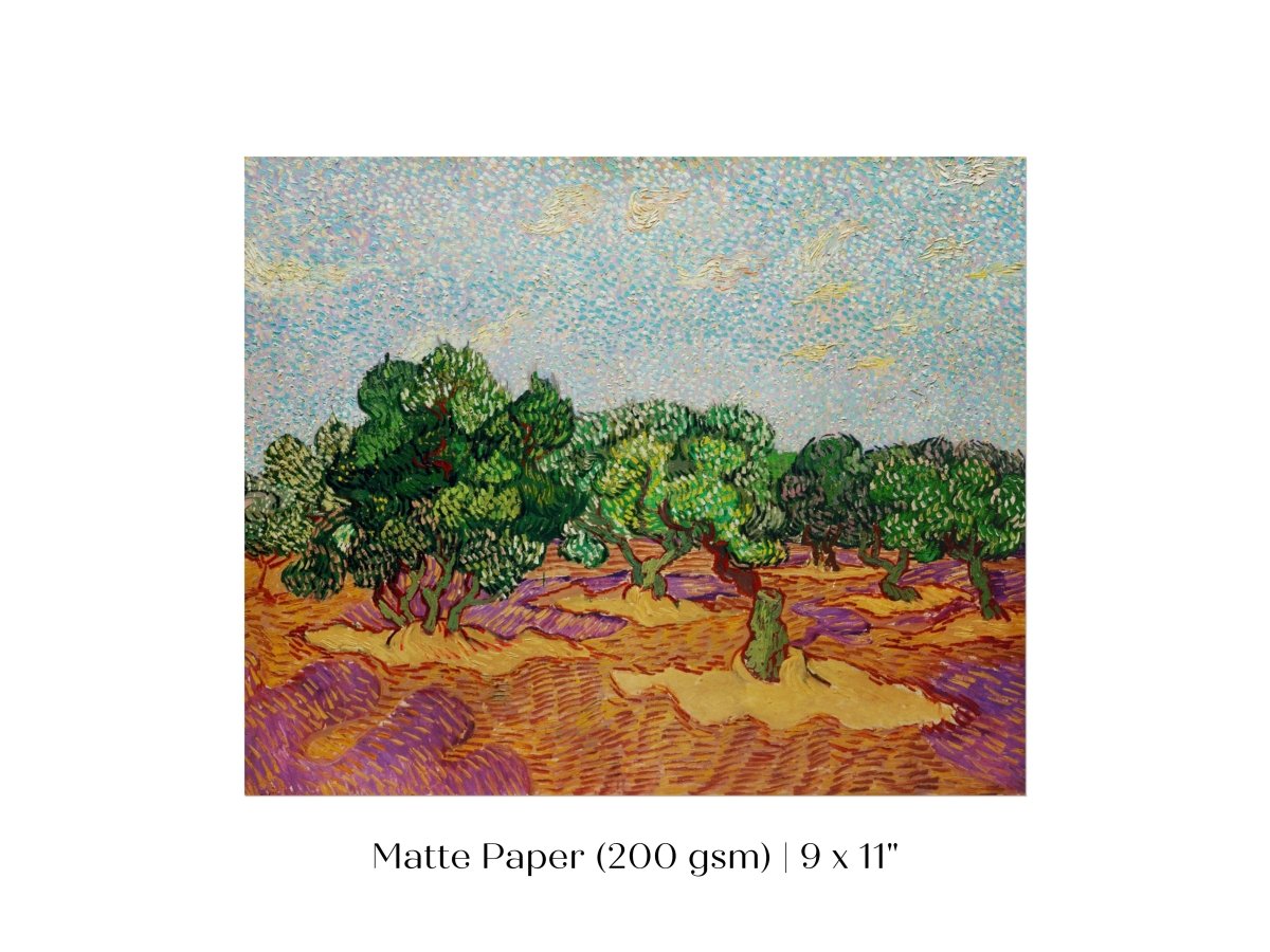 Olive Trees | P323 - Single Art Prints - Piccolo Fiore Prints