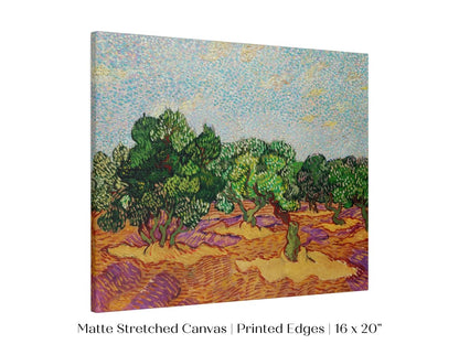 Olive Trees | P323 - Single Art Prints - Piccolo Fiore Prints