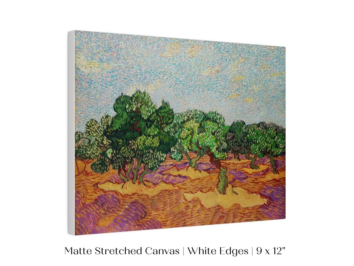 Olive Trees | P323 - Single Art Prints - Piccolo Fiore Prints