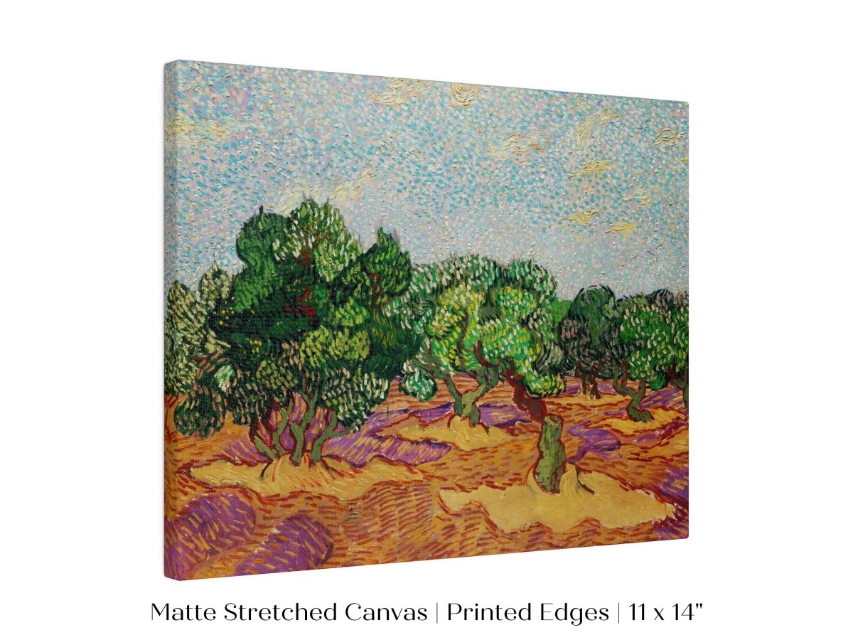 Olive Trees | P323 - Single Art Prints - Piccolo Fiore Prints