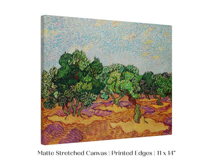 Olive Trees | P323 - Single Art Prints - Piccolo Fiore Prints