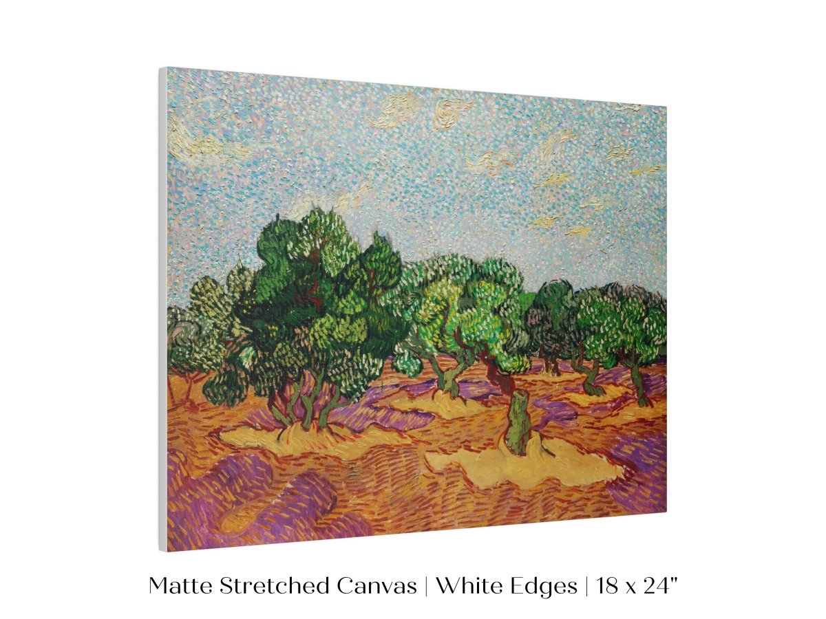 Olive Trees | P323 - Single Art Prints - Piccolo Fiore Prints