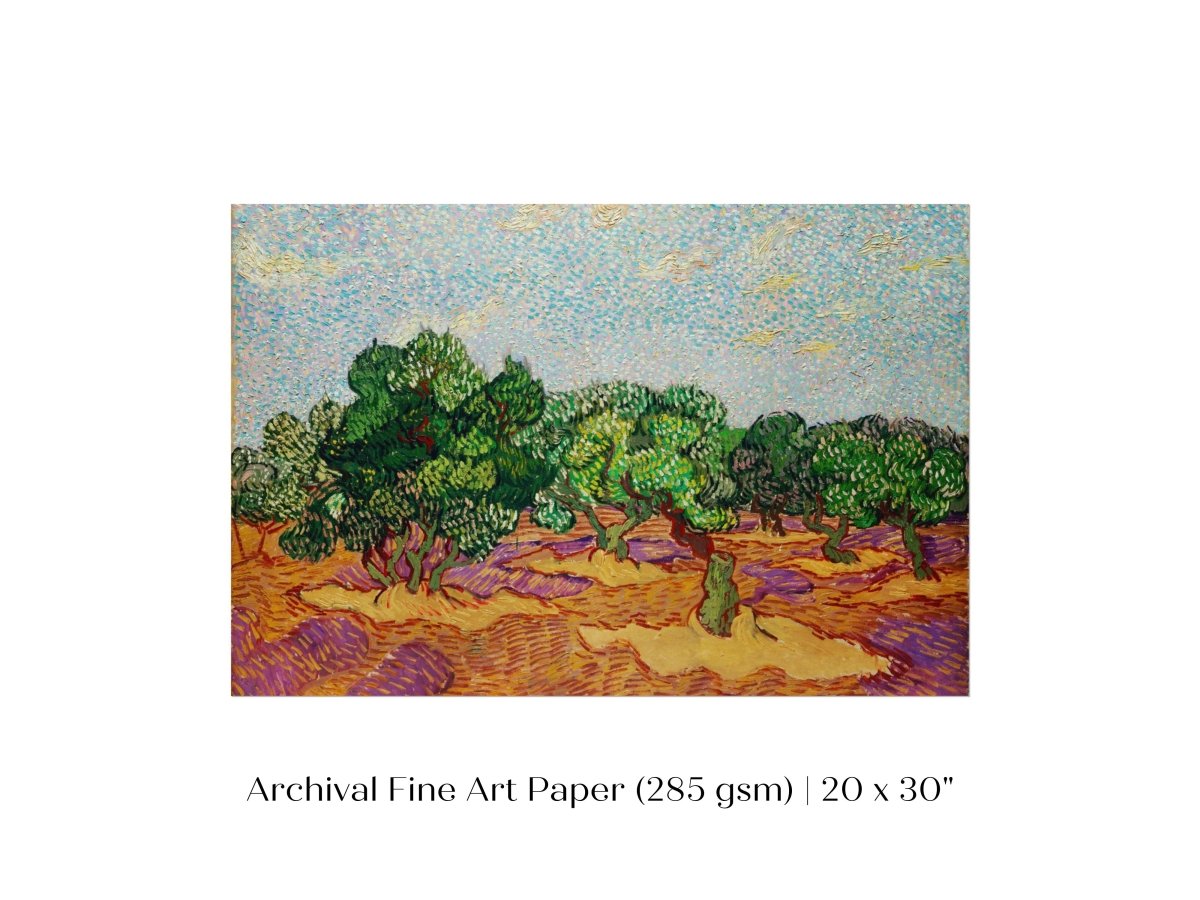 Olive Trees | P323 - Single Art Prints - Piccolo Fiore Prints