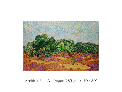 Olive Trees | P323 - Single Art Prints - Piccolo Fiore Prints