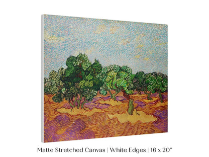 Olive Trees | P323 - Single Art Prints - Piccolo Fiore Prints