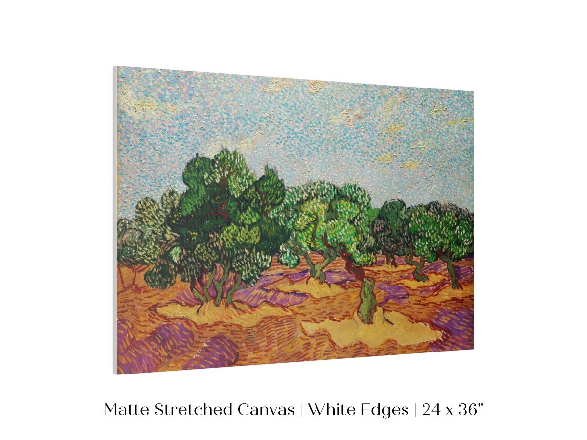 Olive Trees | P323 - Single Art Prints - Piccolo Fiore Prints