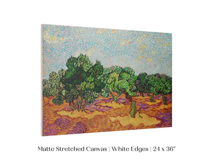 Olive Trees | P323 - Single Art Prints - Piccolo Fiore Prints