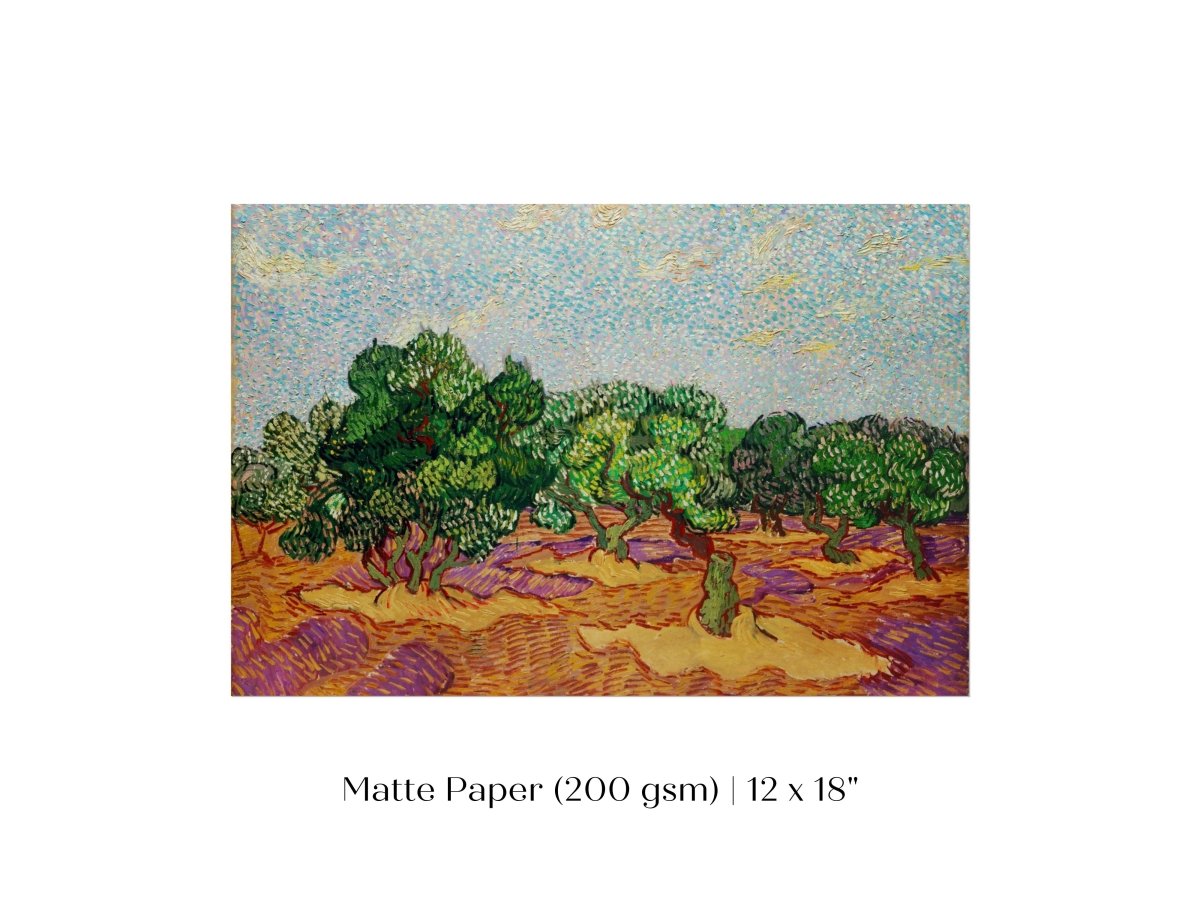 Olive Trees | P323 - Single Art Prints - Piccolo Fiore Prints