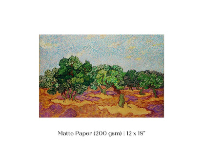 Olive Trees | P323 - Single Art Prints - Piccolo Fiore Prints