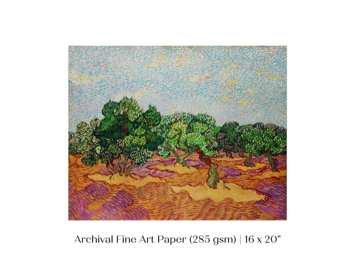 Olive Trees | P323 - Single Art Prints - Piccolo Fiore Prints