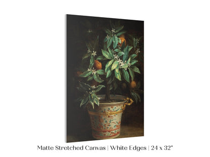 Orange Tree | P438 - Single Art Prints - Piccolo Fiore Prints