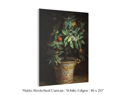 Orange Tree | P438 - Single Art Prints - Piccolo Fiore Prints