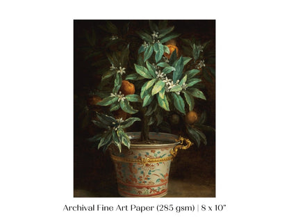 Orange Tree | P438 - Single Art Prints - Piccolo Fiore Prints