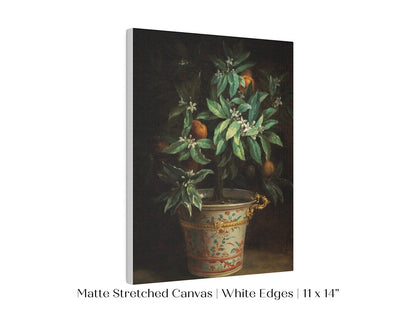 Orange Tree | P438 - Single Art Prints - Piccolo Fiore Prints