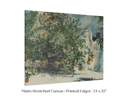 Orange Trees and Gate | P441 - Single Art Prints - Piccolo Fiore Prints
