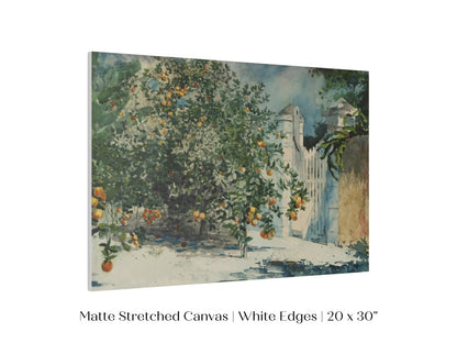 Orange Trees and Gate | P441 - Single Art Prints - Piccolo Fiore Prints