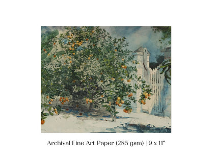 Orange Trees and Gate | P441 - Single Art Prints - Piccolo Fiore Prints