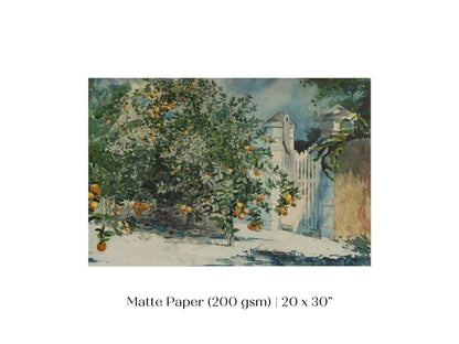 Orange Trees and Gate | P441 - Single Art Prints - Piccolo Fiore Prints