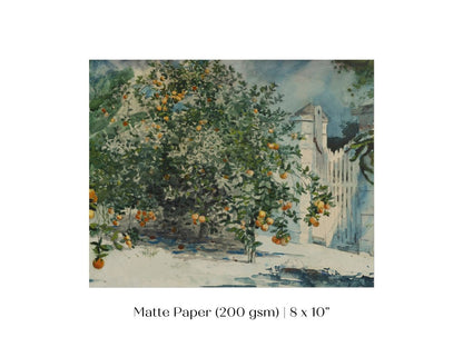 Orange Trees and Gate | P441 - Single Art Prints - Piccolo Fiore Prints