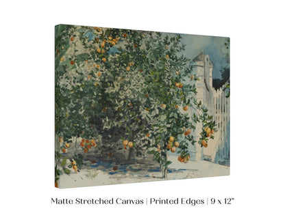 Orange Trees and Gate | P441 - Single Art Prints - Piccolo Fiore Prints