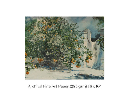 Orange Trees and Gate | P441 - Single Art Prints - Piccolo Fiore Prints