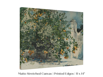 Orange Trees and Gate | P441 - Single Art Prints - Piccolo Fiore Prints