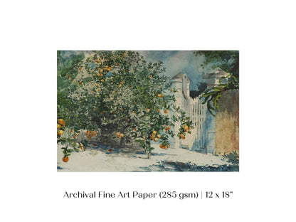 Orange Trees and Gate | P441 - Single Art Prints - Piccolo Fiore Prints