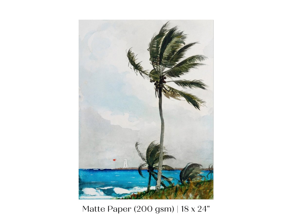 Palm Trees | P15 - Single Art Prints - Piccolo Fiore Prints