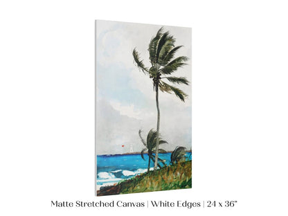 Palm Trees | P15 - Single Art Prints - Piccolo Fiore Prints