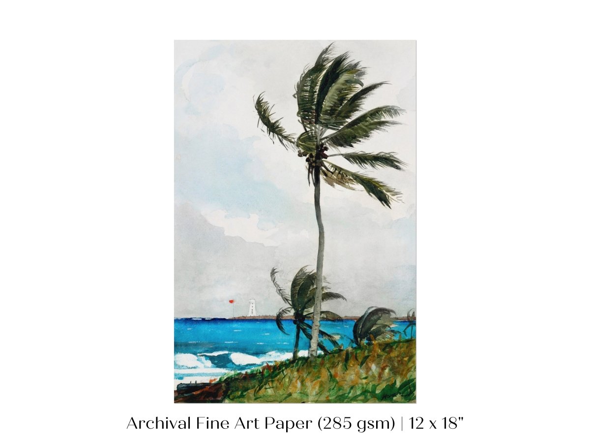 Palm Trees | P15 - Single Art Prints - Piccolo Fiore Prints