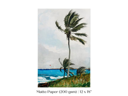 Palm Trees | P15 - Single Art Prints - Piccolo Fiore Prints