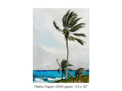 Palm Trees | P15 - Single Art Prints - Piccolo Fiore Prints
