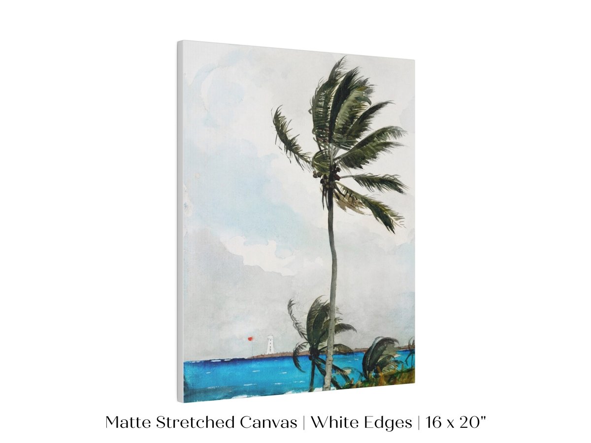 Palm Trees | P15 - Single Art Prints - Piccolo Fiore Prints