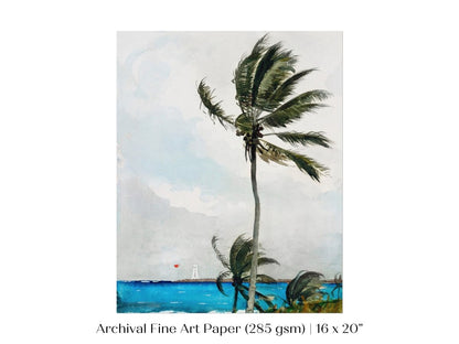 Palm Trees | P15 - Single Art Prints - Piccolo Fiore Prints