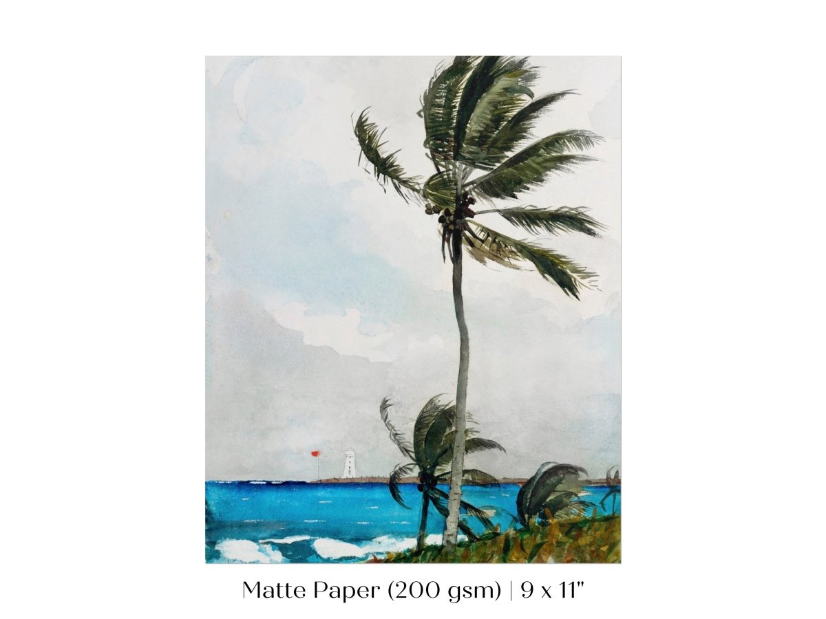 Palm Trees | P15 - Single Art Prints - Piccolo Fiore Prints