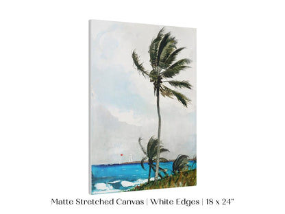Palm Trees | P15 - Single Art Prints - Piccolo Fiore Prints