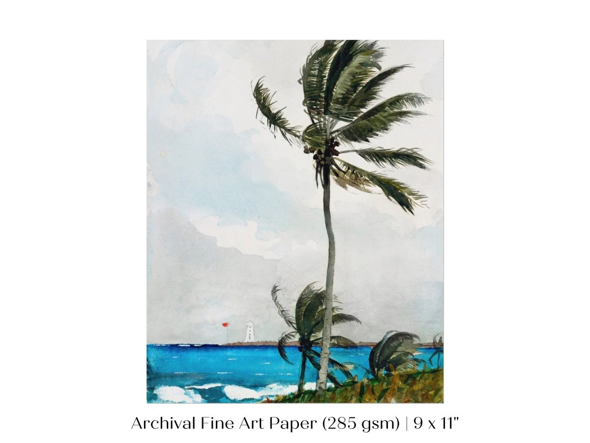 Palm Trees | P15 - Single Art Prints - Piccolo Fiore Prints