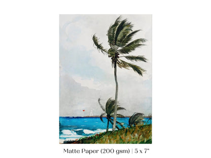Palm Trees | P15 - Single Art Prints - Piccolo Fiore Prints